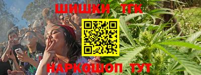 стаф Лесосибирск